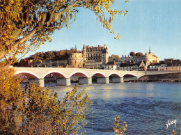 37-AMBOISE-N° 4449-A/0005 - Amboise