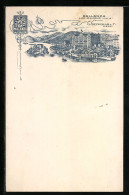 Lithographie Pallanza, Grand Hotel, Lac Majeur  - Otros & Sin Clasificación