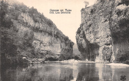 48-LES GORGES DU TARN-N° 4449-E/0249 - Sonstige & Ohne Zuordnung