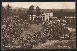 AK Bilin-Sauerbrunn, Blick über Den Rosengarten  - Tschechische Republik