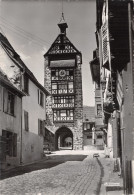 68-RIQUEWIHR-N° 4450-D/0275 - Riquewihr