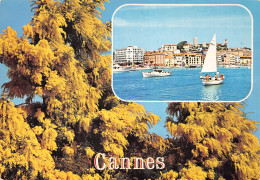 06-CANNES-N° 4450-D/0091 - Cannes