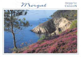 29-CROZON MORGAT-N° 4450-D/0067 - Crozon