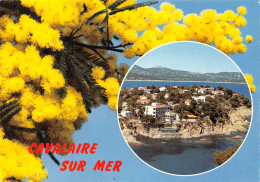 83-CAVALAIRE SUR MER-N° 4451-B/0117 - Cavalaire-sur-Mer