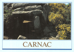 56-CARNAC-N° 4451-A/0039 - Carnac
