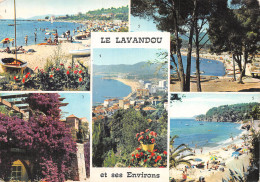 83-LE LAVANDOU-N° 4451-C/0349 - Le Lavandou