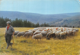 48-TRANSHUMANCE EN LOZERE-N° 4451-C/0117 - Andere & Zonder Classificatie