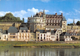 37-AMBOISE-N° 4451-C/0067 - Amboise