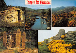 48-IMAGES DES CEVENNES-N° 4452-C/0019 - Autres & Non Classés