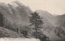 Env Du Mont-Dore Les Gorges D'Enfer FRANCE - Autres & Non Classés