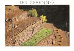 30-LES CEVENNES-N° 4452-D/0219 - Sonstige & Ohne Zuordnung