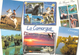 13-EN CAMARGUE-N° 4452-D/0133 - Other & Unclassified