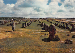 56-CARNAC-N° 4452-D/0011 - Carnac