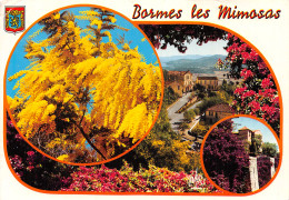 83-BORMES LES MIMOSAS-N° 4452-D/0013 - Bormes-les-Mimosas