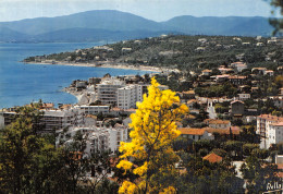 83-SAINTE MAXIME-N° 4453-A/0241 - Sainte-Maxime