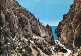 13-CASSIS-N° 4453-A/0243 - Cassis