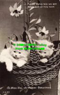 R558569 To Wish You A Merry Christmas. Two Kittens In A Basket. Rotary Photograp - Monde