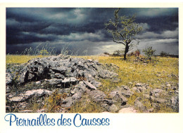 48-PIERRAILLES DES CAUSSES-N° 4454-D/0037 - Sonstige & Ohne Zuordnung