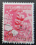 Ecuador 1954 (1c) Bananas - Equateur