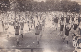 47) MARMANDE - CARTE PHOTO BALISTAI MARMANDE - CASTELJALOUX - FETE DES  ECOLES  - GYMNASES - GYMNASTIQUE - ( 3 SCANS ) - Marmande