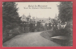 Salut De Moresnet - Cour Du Château D'Eulenbourg - 1924 ( Voir Verso ) - Blieberg