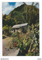 ILE DE LA REUNION N°401 Les Hauts De L'Ile éditions J. Jacques Cladère St Denis - Saint Denis