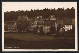 AK Bockswiese I. Oberharz, Ortsansicht über Wiese Mit Hotel  - Oberharz