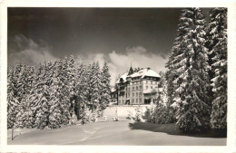 Todtnau - Hotel Notschrei - Todtnau