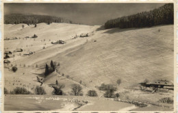 Todtnauberg Schwarzwald - Todtnau - Todtnau