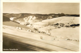 Todtnauberg - Ski - Todtnau