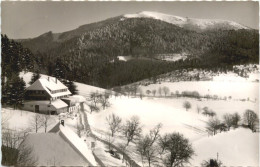 Schönau - Gasthaus Haldenhof - Loerrach