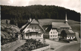 Muggenbrunn Schwarzwald - Todtnau - Todtnau