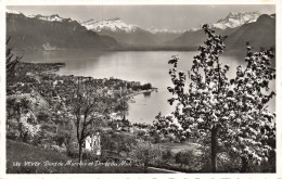 [-5%] SUISSE - Vevey - Dent De Morcles Et Dents Du Midi - Vue Sur Une Partie De La Ville - Carte Postale Ancienne - Vevey