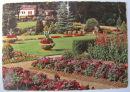 BELGIQUE - LIEGE - SPA - Le Jardin Des Bégonias - Spa