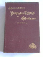 Praktisches Lehrbuch Des Obstbaues Von Böttner, Johannes - Non Classificati