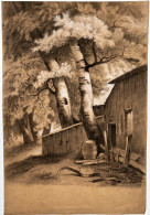 (Scheune Mit Bäumen - Barn With Trees) - Zeichnung Dessin Drawing - Stiche & Gravuren