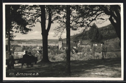 AK Bregenz Am Bodensee, Paar Sitzt Auf Bank Mit Blick Zum See  - Other & Unclassified