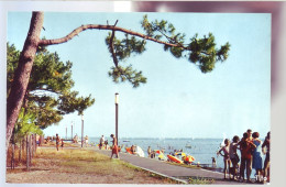 33 - ANDERNOS-les-BAINS - LA PLAGE DU MAURET - LA PROMENADE -  - Andernos-les-Bains