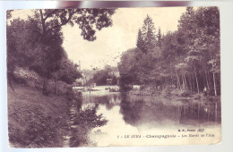39 - CHAMPAGNOLE - LES BORDS DE L'AIN -  - Champagnole