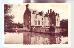 41 - LA FERTE-SAINT-CYR - CHATEAU DE RHUIYS  -  - Other & Unclassified