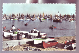 17 - ILE D'OLERON - LE PORT DE LA COTINIERE - ANIMÉE -  - Ile D'Oléron