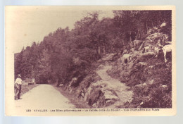 89 - AVALLON - LA VALLÉE JOLLE DU COUSIN - VUE CHAMPETRE AUX RUATS - ANIMÉE -  - Avallon