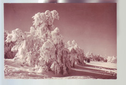 88 - LA SCHLUCHT - EFFET DE NEIGE - ANIMÉE -  - Andere & Zonder Classificatie