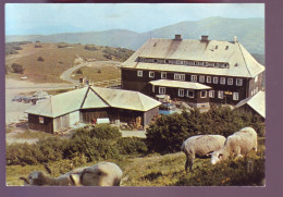 88 - LE GRAND-BALLON - VUE GÉNÉRALE - ANIMÉE -  - Andere & Zonder Classificatie