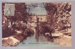 51 - CHALONS-sur-MARNE - LE PETIT JARD - COLORISÉE  -  - Châlons-sur-Marne