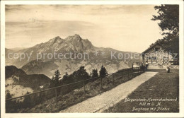 12044378 Hammetschwand Buergenstock Berghaus Mit Pilatus Buergenstock - Other & Unclassified