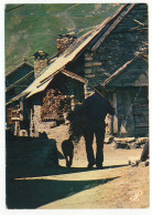 CPSM / CPM 10.5 X 15 Prestige DAUPHINE Dans Un Vieux Village De Montagne Paysan Revenant Des Foins Rateau Chien - Rhône-Alpes