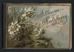 Leporello-Album Salzburg Mit 12 Lithographie-Ansichten, Berchtesgaden, Schloss Anif, Sommerreitschule, Mozartplatz  - Lithographien