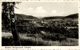 CPA Heilbad Heiligenstadt Eichsfeld Thüringen, Gesamtansicht - Autres & Non Classés