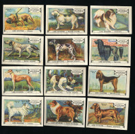 Meurisse - Ca 1930 - 67 - Les Chiens, Dogs - Full Serie - Other & Unclassified